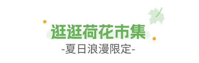 宠宠宠！“苏超”福利再升级，淮安市民速收！