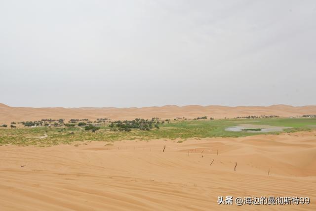 海边游记｜沙海狂飙与绿洲寻踪：内蒙古腾格里沙漠一日“历险记”