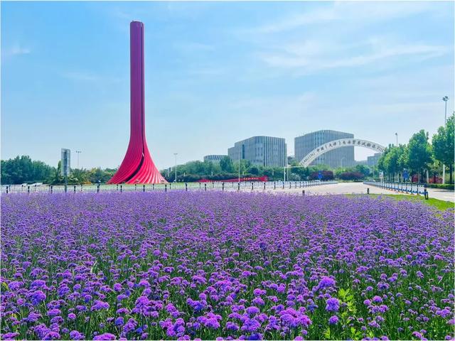国庆好风光 一起来保税“花”式打卡吧