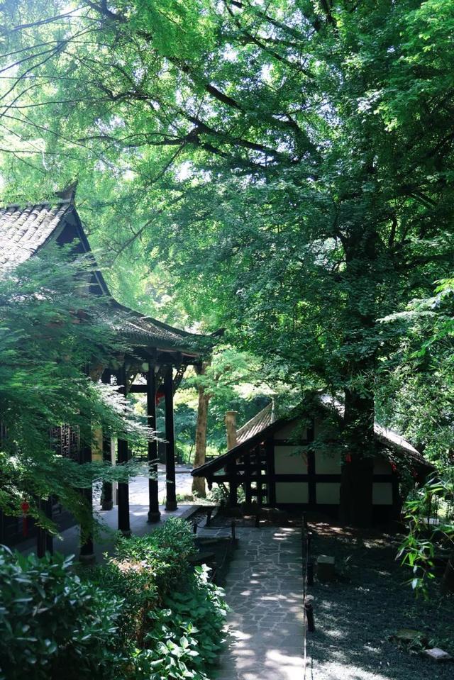 报告！新发现都江堰隐藏款“绿野仙踪”🤟