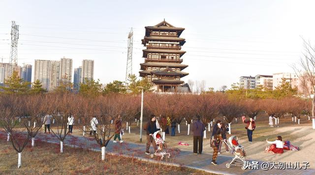 千金梅岭：红梅绽放喜迎元旦