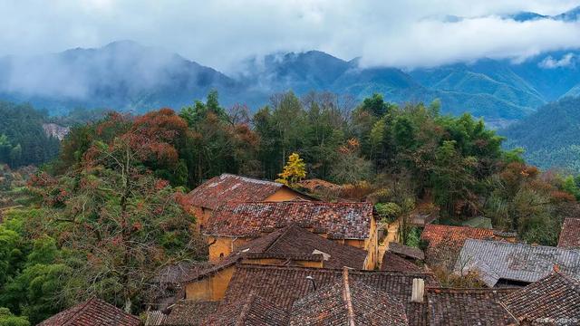 灵隐免票首日抢空!放弃4.9亿门票,景区图的是长远饭票