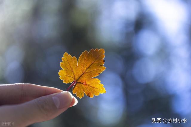 明日“秋分”，老人说最怕“秋分一日雨”，秋分下雨啥预兆？
