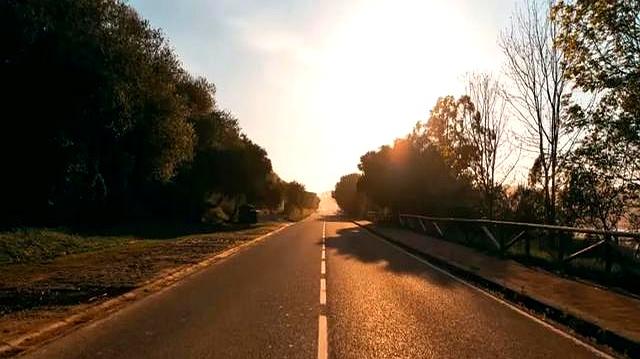 抑郁的真正解药，不是跑步机，而是这个被你扔掉的“救命稻草”