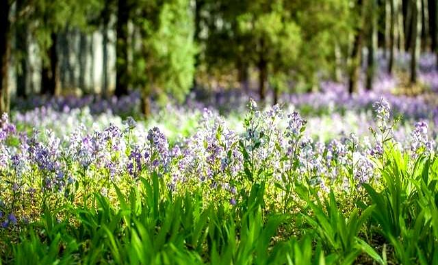 我今年56岁才顿悟！男人没了女人就2个字，女人没了男人就4个字！
