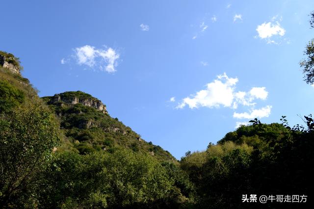 延庆应梦寺（五）：山巅极目收千嶂，林海听风涤尘心