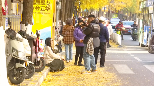 收藏这份“鎏金地图”，喝咖啡、拍银杏、晒太阳