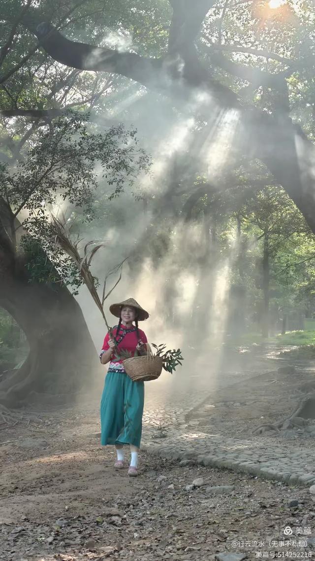 彩色旅图｜光影里的霞浦：滩涂、古树与渔排的诗意时光