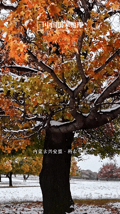 《疯狂动物城》之冰川镇竟撞脸呼伦湖！