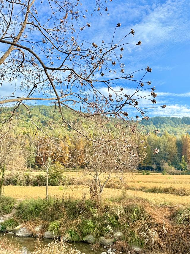 追着晚秋(黟县宏村镇塔川村)