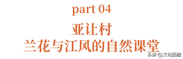 美到心颤！墨脱这几个沿江村落，串联起西藏绝景！