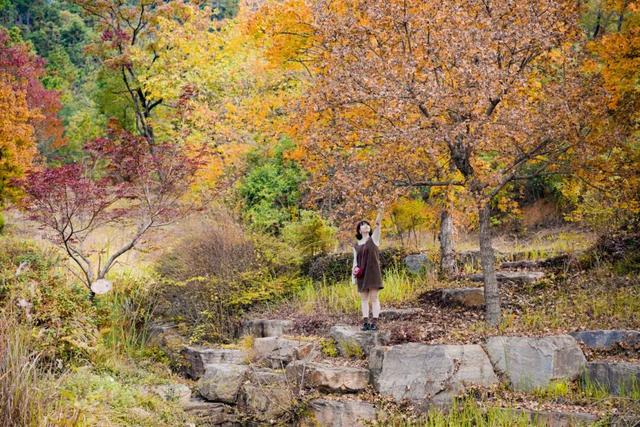 绝了！黄陂最被低估的宝藏赏秋地！