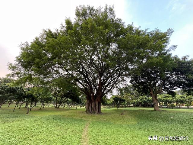 中山漫游攻略——品味伟人故里的人文美食与山水