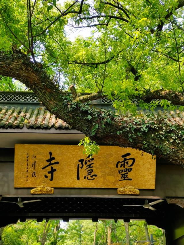 高铁直达！中国最好吃的6座城市，都在这了！！