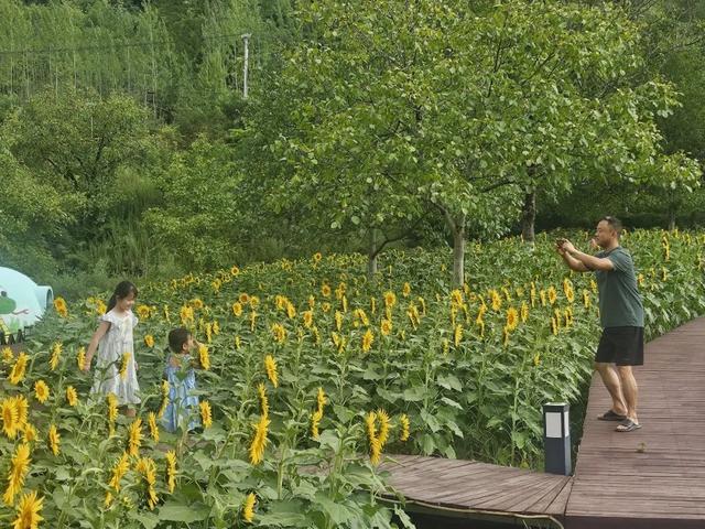 山水云屏 艺术共舞｜“跟着艺术游陇南”走进云屏三峡