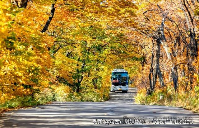 【镜头里的鸡西】鸡西这些“勾魂”美景，美到窒息！你打卡过几个？