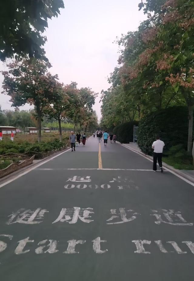 我桂林人，去了趟河南焦作，真羡慕当地人的生活，你们猜为啥？