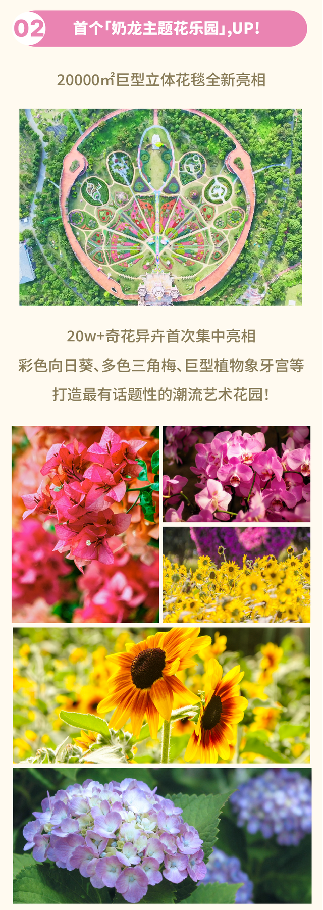 中秋国庆双节春申潮玩指南！开启你的美好生活季