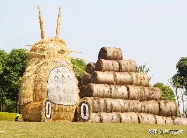 好客山东好品山东｜临沂遛娃去哪儿？初冬攻略收藏就出发～