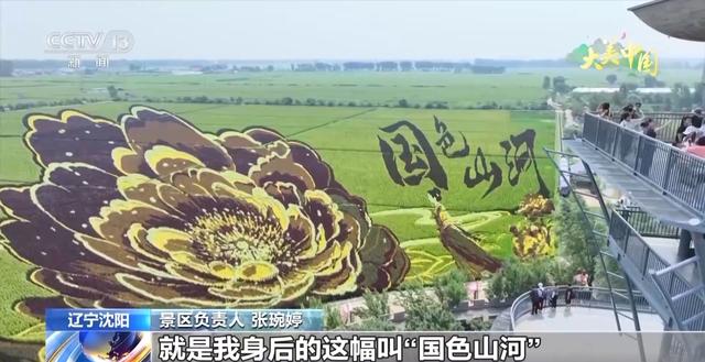 湿地候鸟翩跹 荷塘万亩飘香 看大美中国绿色发展新画卷