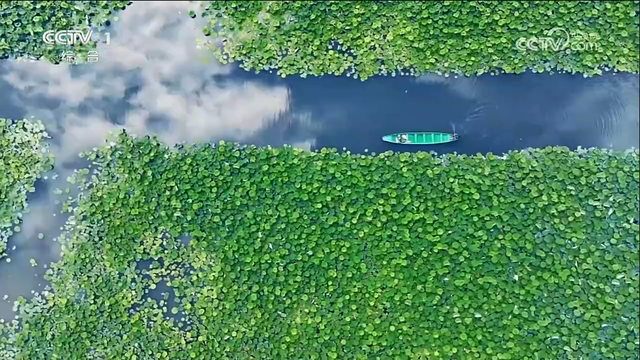 《人间仙境普者黑，始于山水，归于烟火》亮相央视！