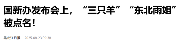 东北雨姐这一次完了，国新办点名，复出失败，彻底沦为反面教材！