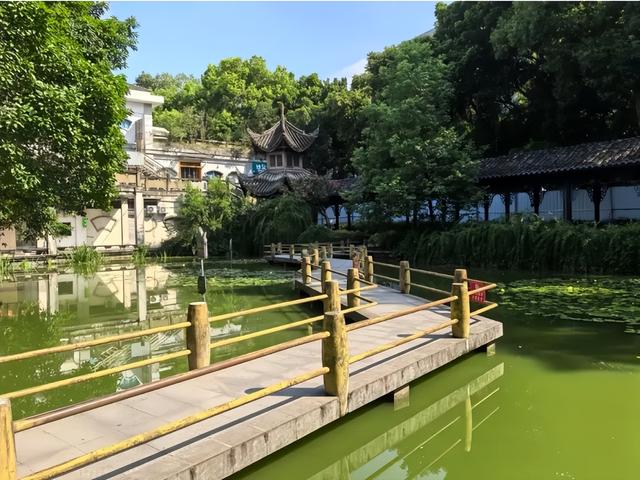 乐山凭啥炸开了锅？三大公园成新顶流！