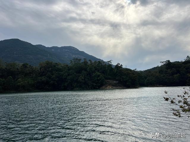 游流溪河森林公园