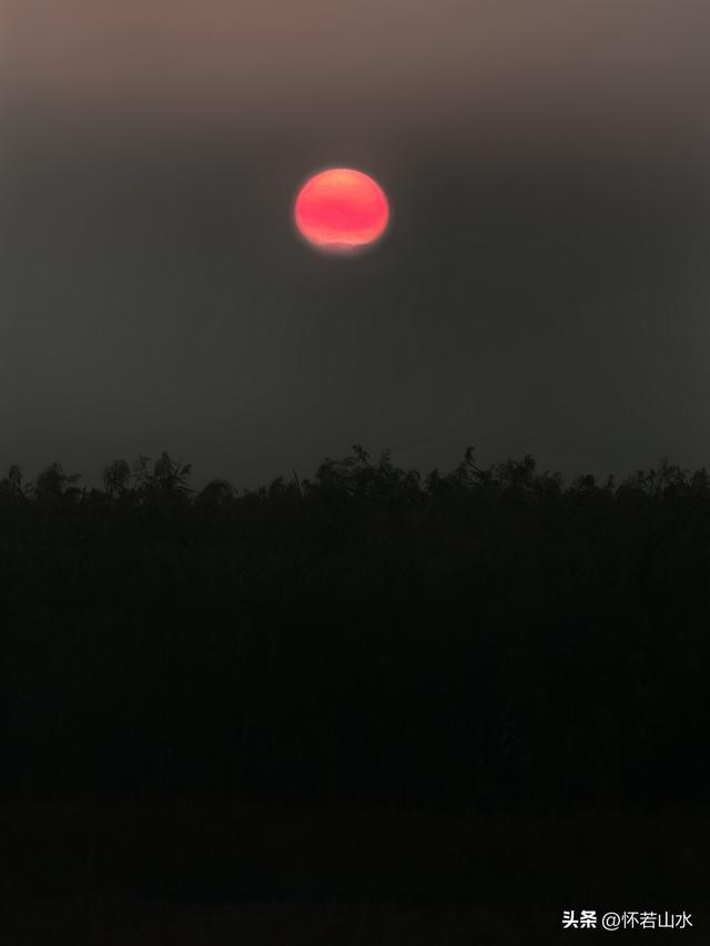 2025辽宁赏秋之旅日记(6)——到辽河口中国最北海岸线看日出 观鸟