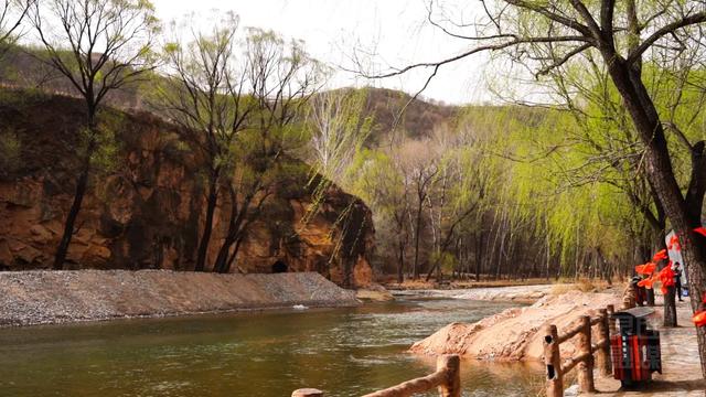 灵丘：塞外桃源先得春 山谷奏响第一声