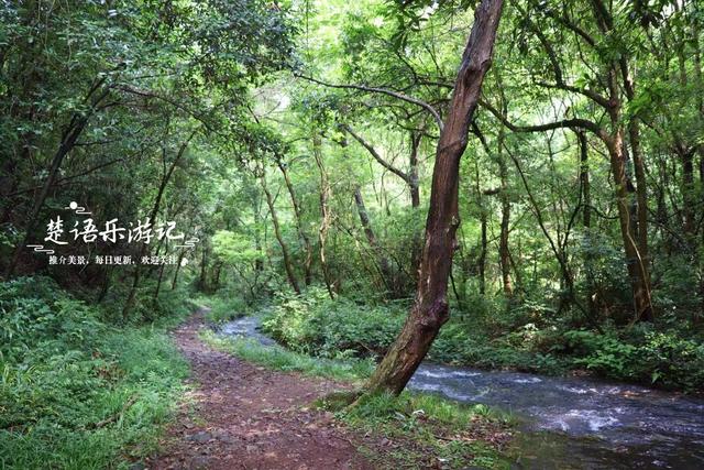 浙江宁波的山海古村，3条古道构成桃源秘境，被誉为治愈系玩水地