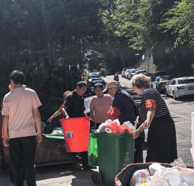 苏马荡密林里流淌着他乡变故乡的情怀，诠释者竟是一群外乡老人