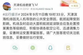 无人机“黑飞”再现江湖，天津滨海国际机场应急背后的深思图片