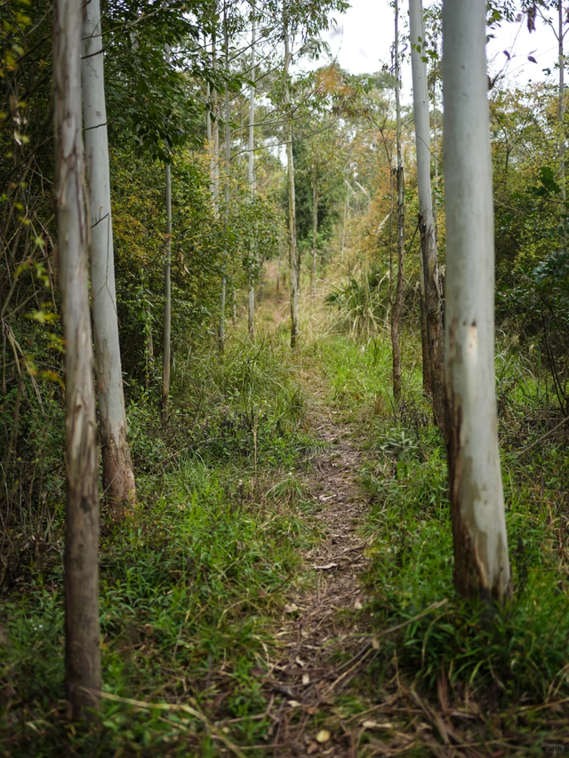 成都南门出发1h || 10km小众野生路线探个险，冷门到包场！