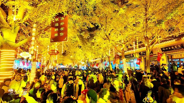 “银”客天下，“杏”福秦州：天水黄金大道奏响初冬浪漫狂想曲