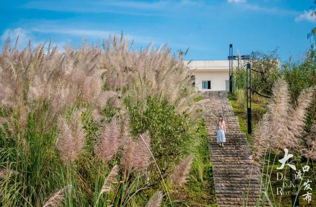 不用跑远,大渡口这个公园每一处都出大片🤩