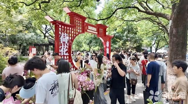 苏州荷花市集“三变”，更美更好逛！