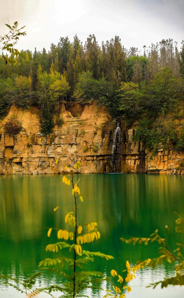 呐！送你一片立冬日的多巴胺