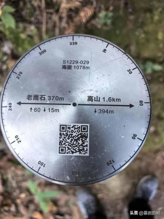 衢州老鹰石游步道，竹林里的徒步登山道