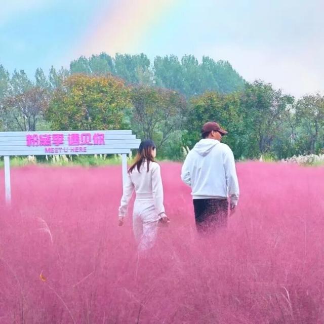 最浪漫的事，牵上“她”的手，湿地走一走