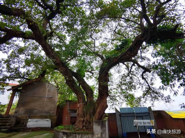 行走自贡：荣县乌老山上的懂政老街