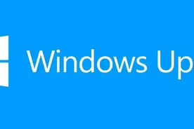 懒人必备，Windows10/11彻底告别自动更新的终极决招，亲测有效！图片