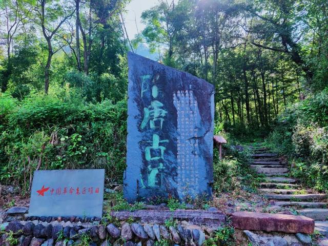 趣清凉·享太平 | 从“人从众”到“躺进山野”！东黄山让这届年轻人上头了！|皖美夏日
