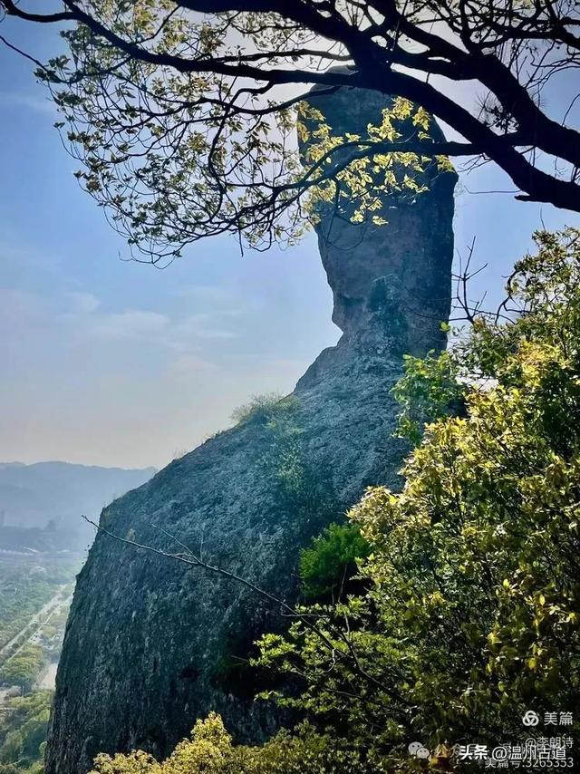 罕见的天下奇石!温岭石夫人,你可曾见过?