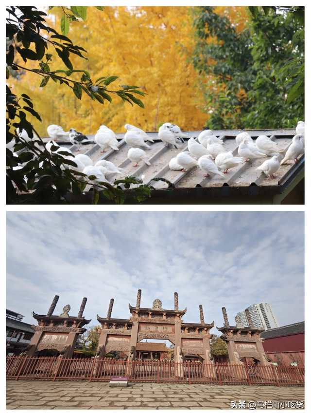 四川德阳旅游打卡攻略 | 古蜀之源的魅力之旅
