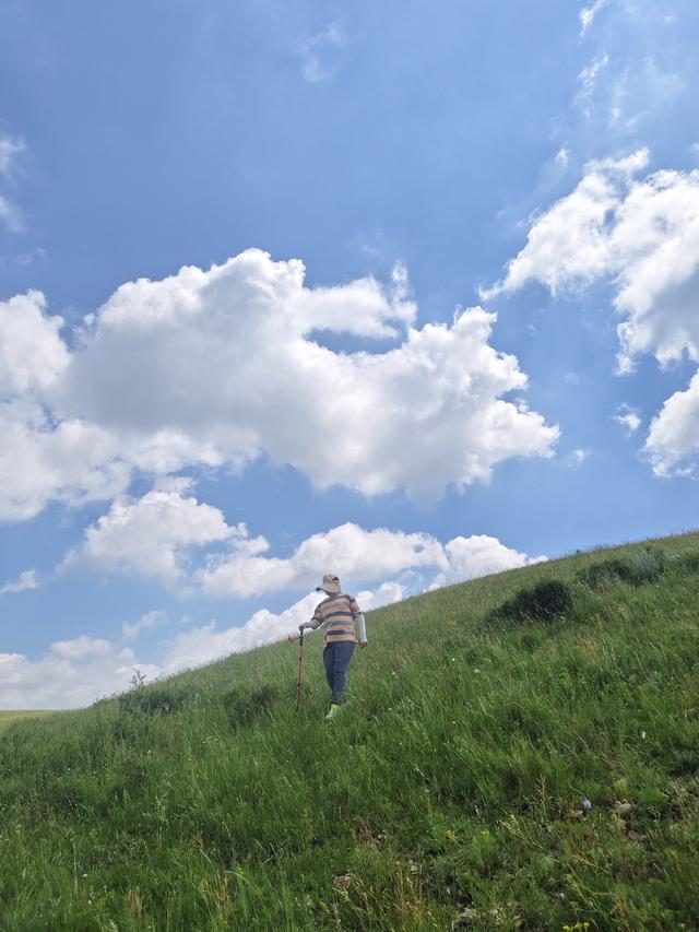 去北极村第四站——东乌。走99号公路我们去爬瞭望山。