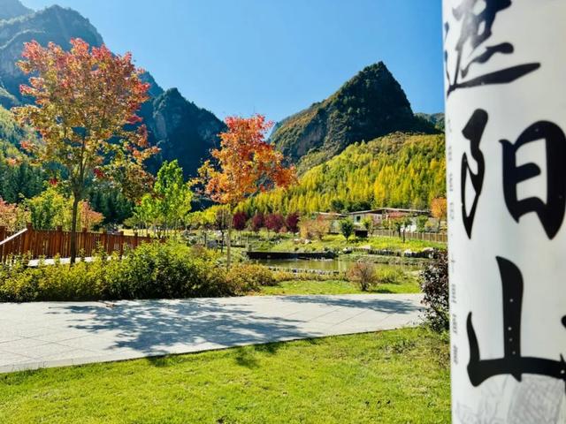 这么好看，不愧是遮阳山的秋天！