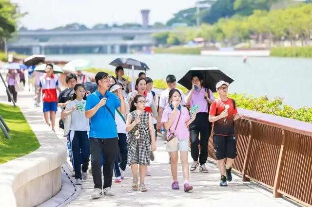 深圳人深情表白：“因为一条路，爱上一座城！”