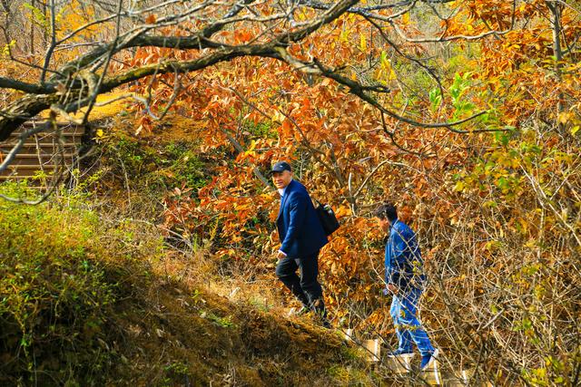 泗水县万紫千红旅游区：静谧而斑斓的生态画卷