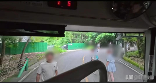 果树突发交通瘫痪！因众人堵死摆渡车道场面惊人，究竟咋回事？